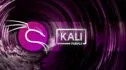 kali linux 2024 blog 1